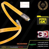 Cáp HDMI 2.0 Jasun 20M Hỗ trợ 4Kx2K@60Mhz, 3D cao cấp